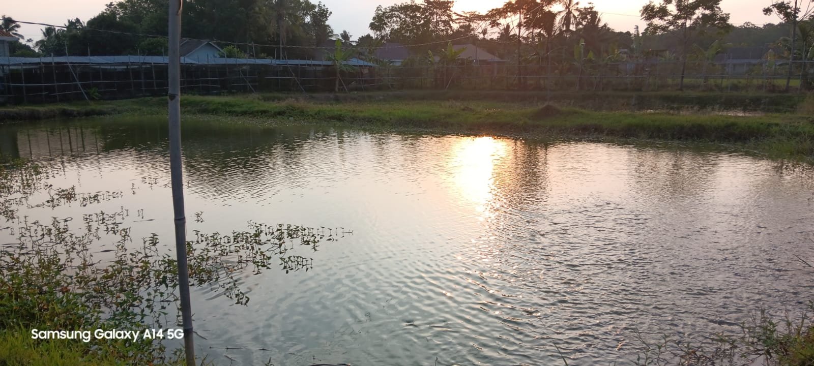 Desa Pujo Rahayu 1.jpg