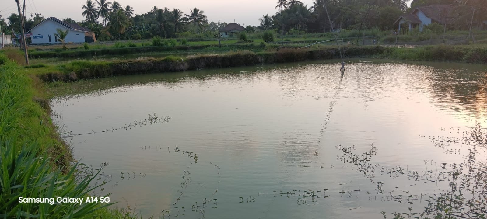 Desa Pujo Rahayu 2.jpg