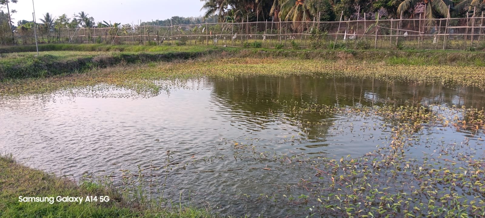 Desa Pujo Rahayu 3.jpg