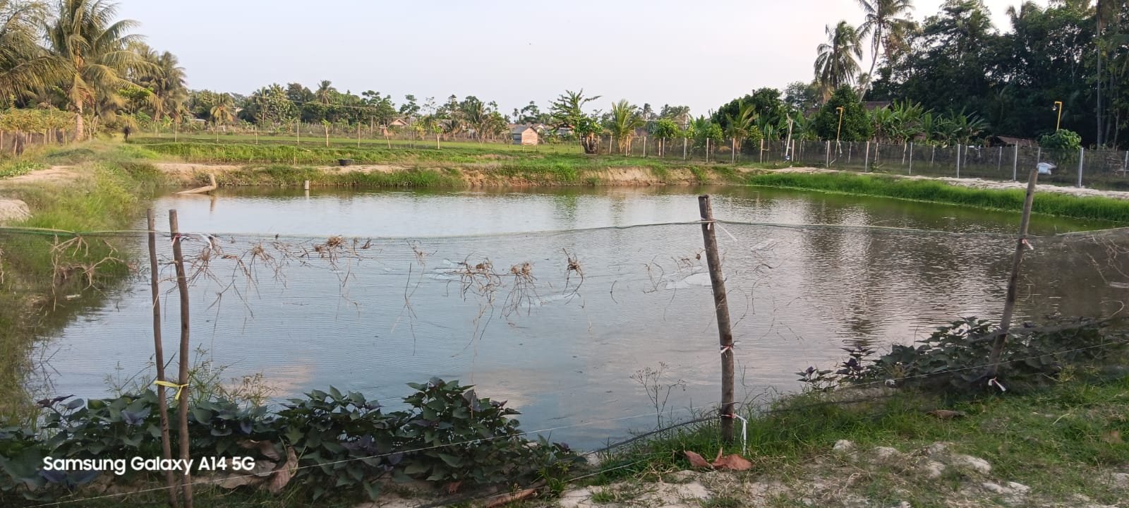 Desa Pujo Rahayu 4.jpg