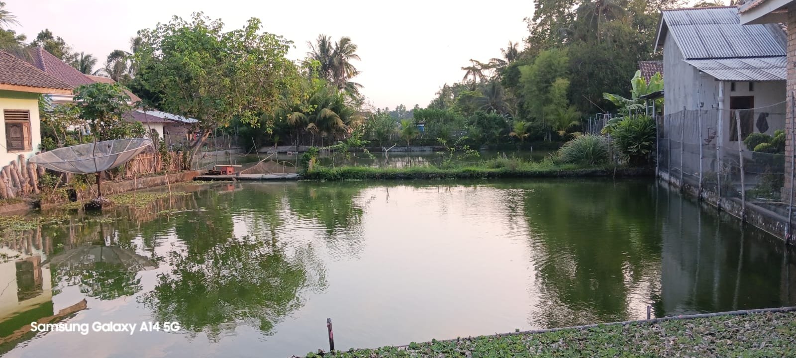 Desa Pujo Rahayu 5.jpg