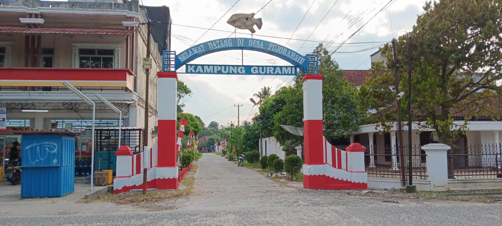 Desa Pujo Rahayu Belitang Kabupaten Oku Timur.jpg